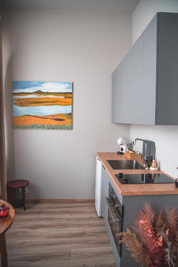 Cozy Studio By The City Centre Apartman Reykjavík Kültér fotó